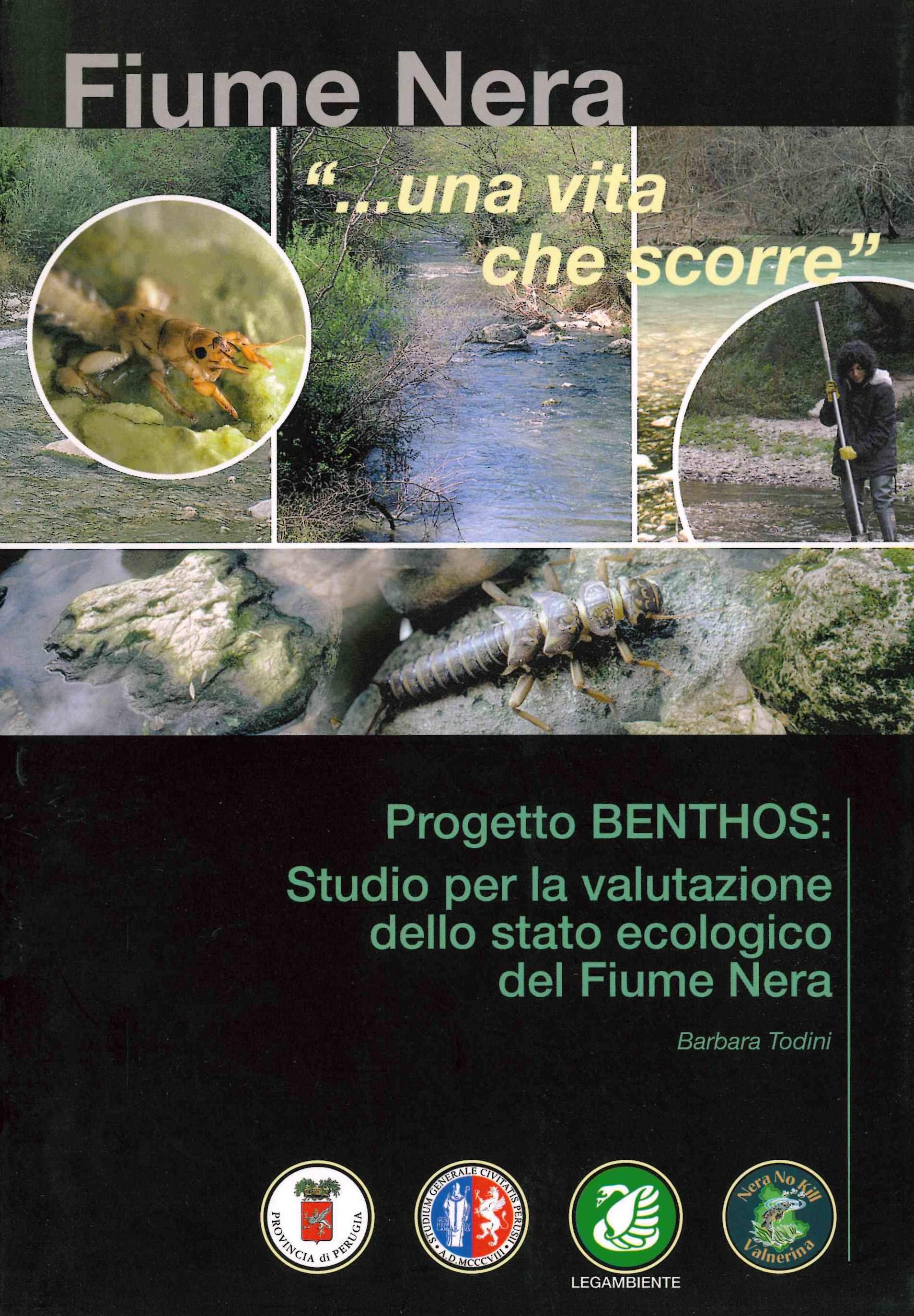Copertina