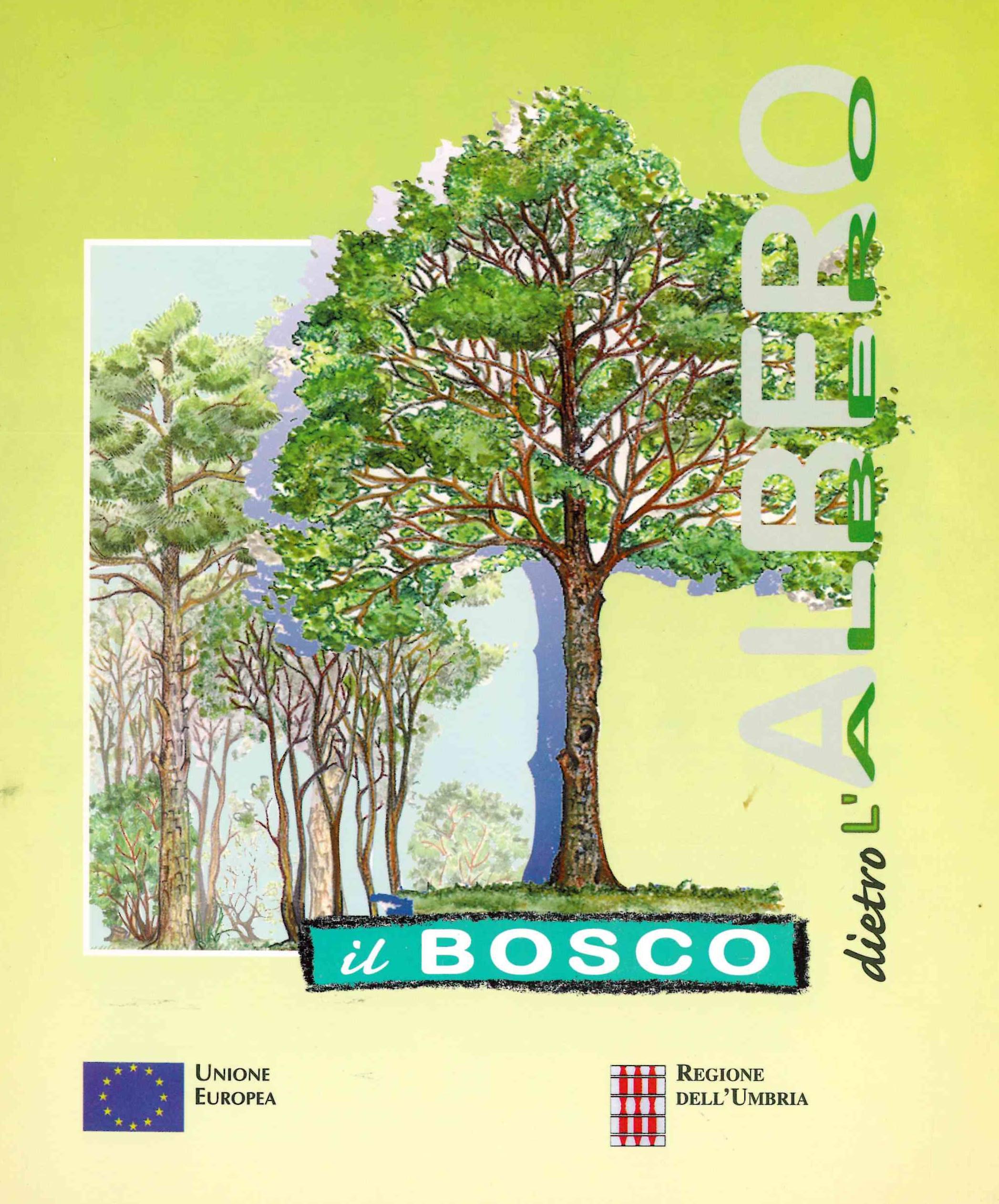 Copertina