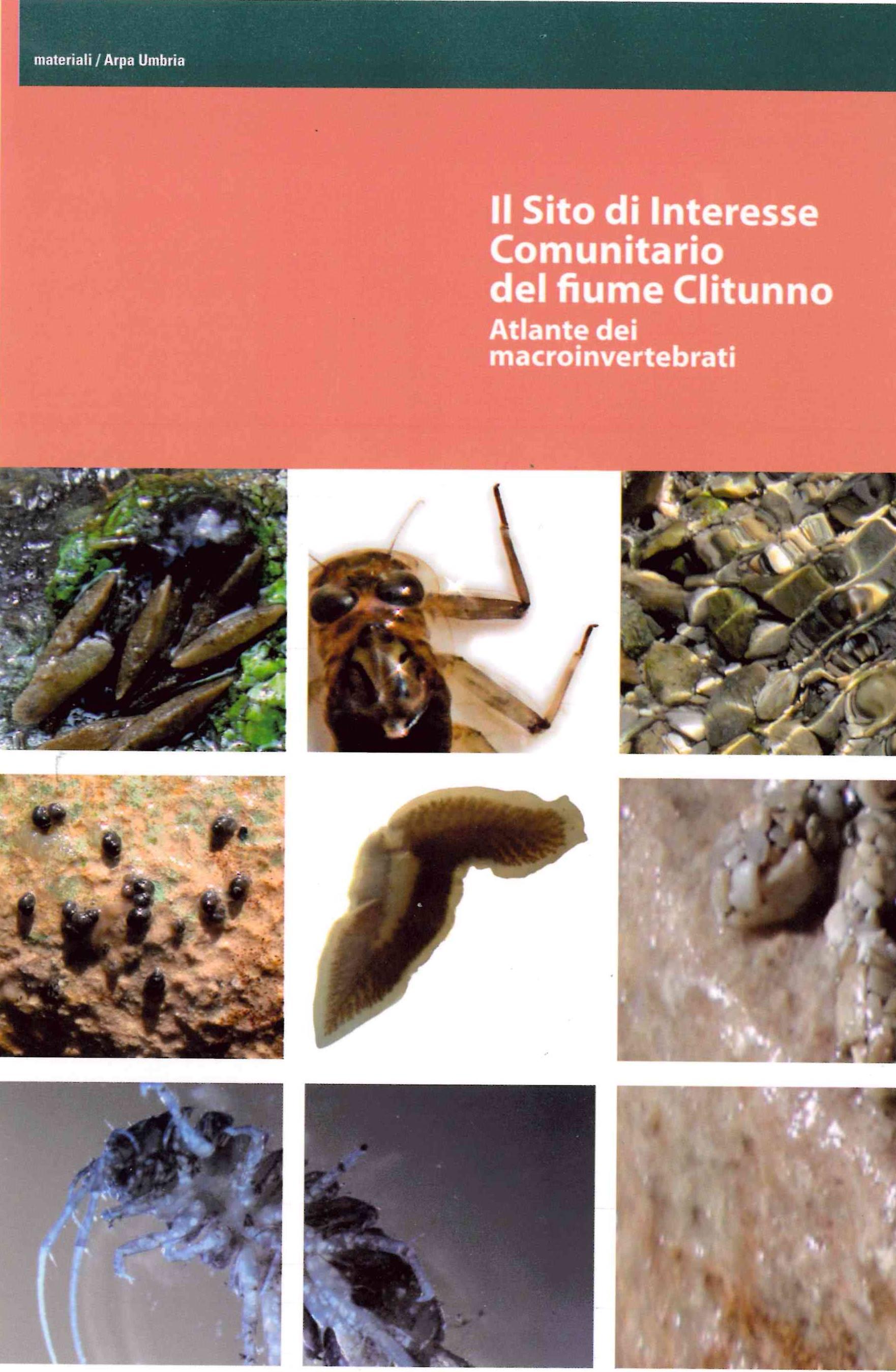 Copertina
