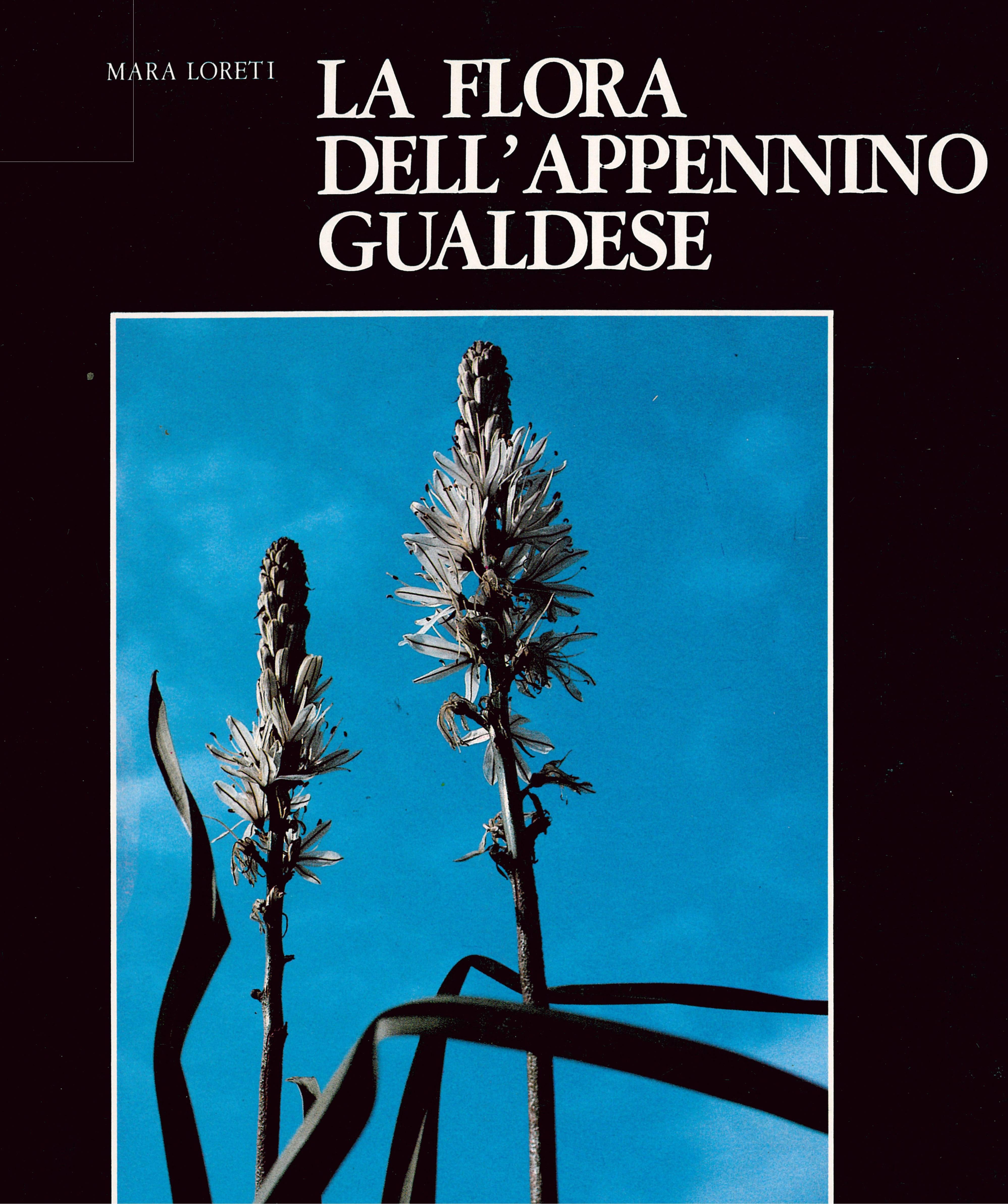Flora dell'appennino gualdese