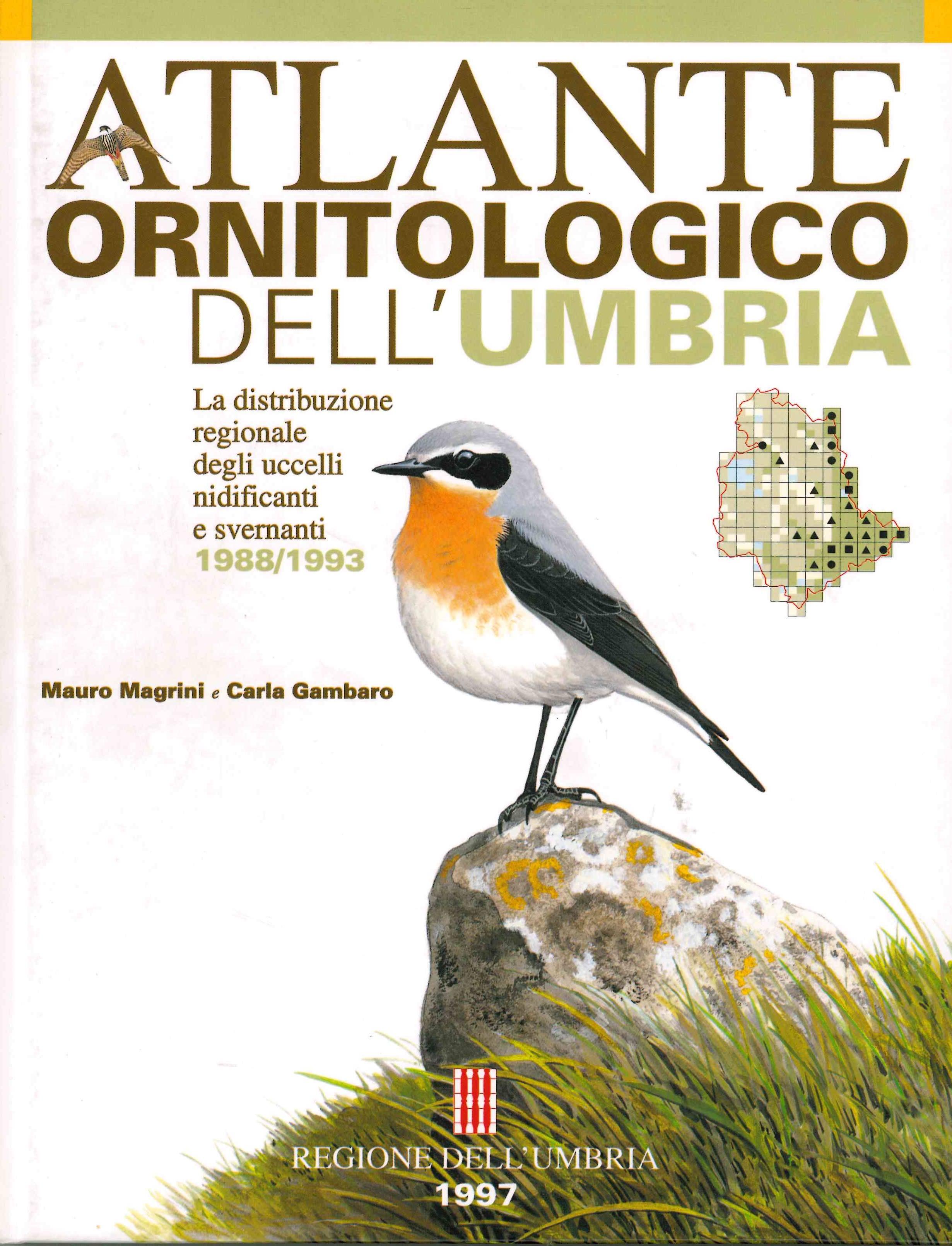 Copertina