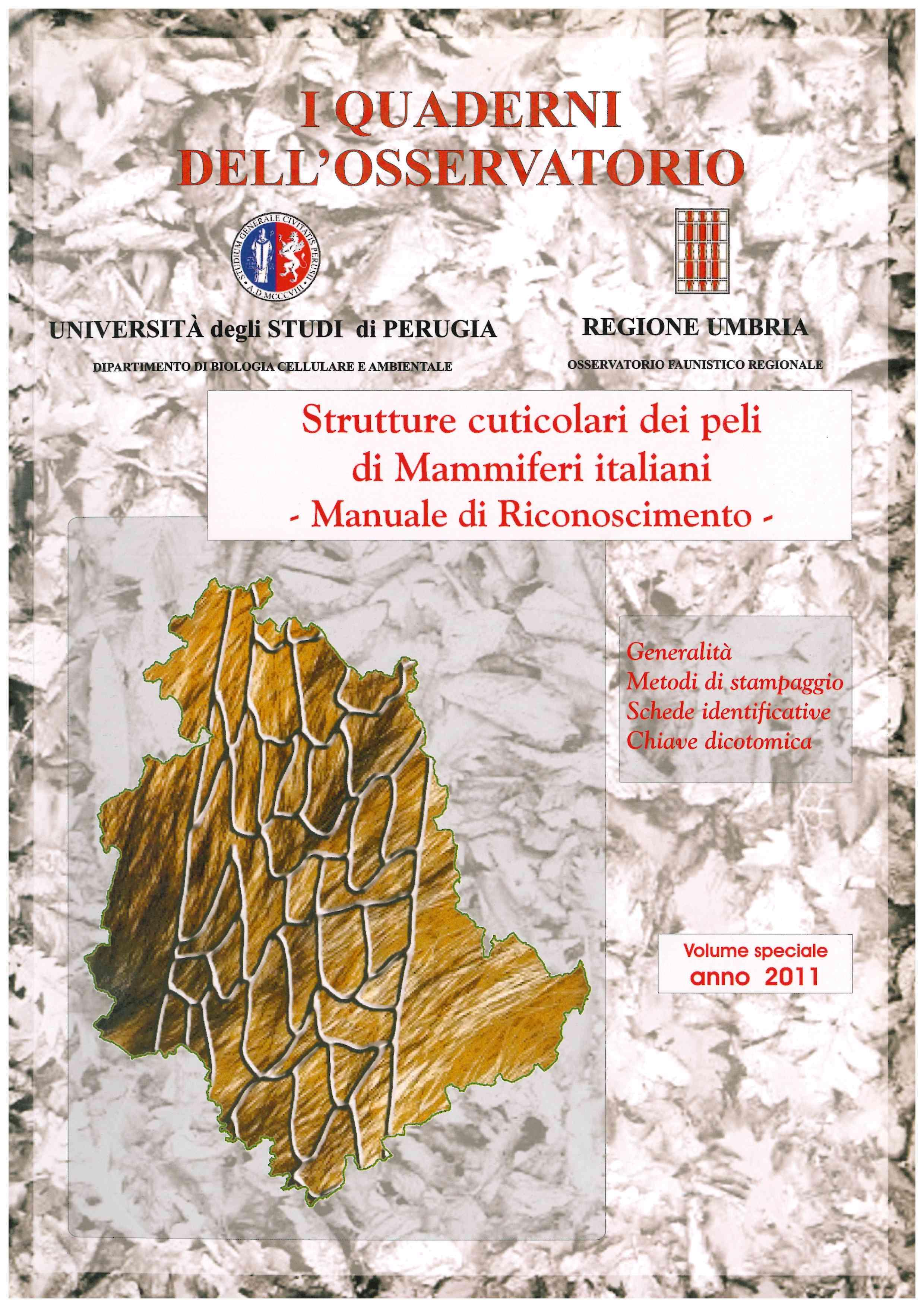 Copertina