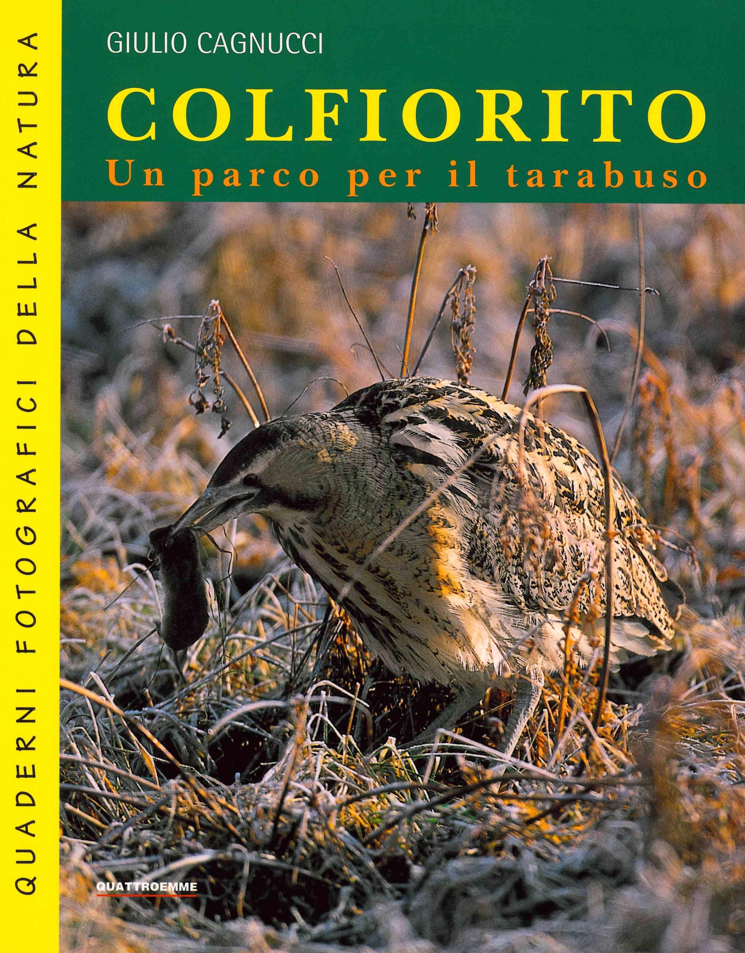 Copertina