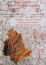copertina di Giuseppina Lombardi