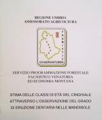Copertina di G. Lombardi