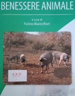 Foto di copertina di Mirko Bacchiorri