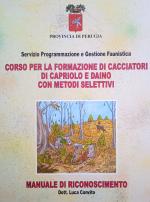 Illustrazione di copertina di Luca Convito