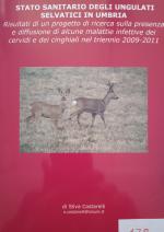 foto di copertina di Luca Convito