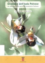 Ophrys apifera
