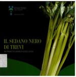 Copertina dell'opera