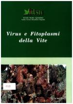 Foto di Michele Borgo
