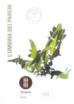 copertina volume