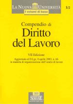 Compendio lavoro VII edizione