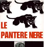 Le pantere nere